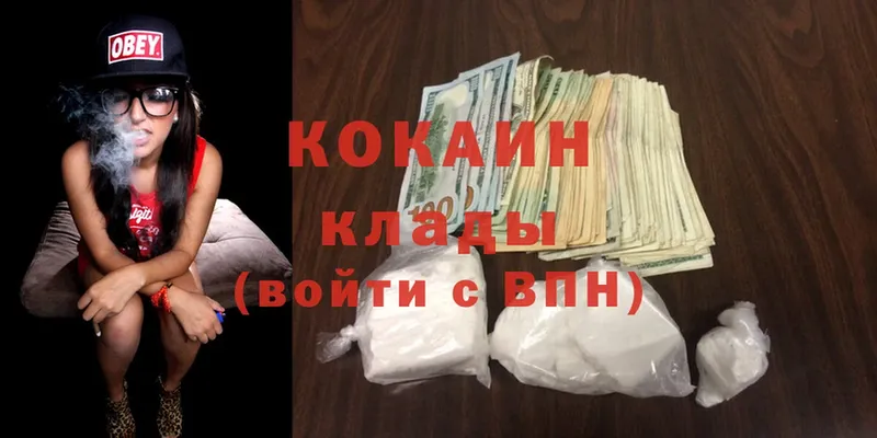 COCAIN Fish Scale  сайты даркнета как зайти  Кызыл 